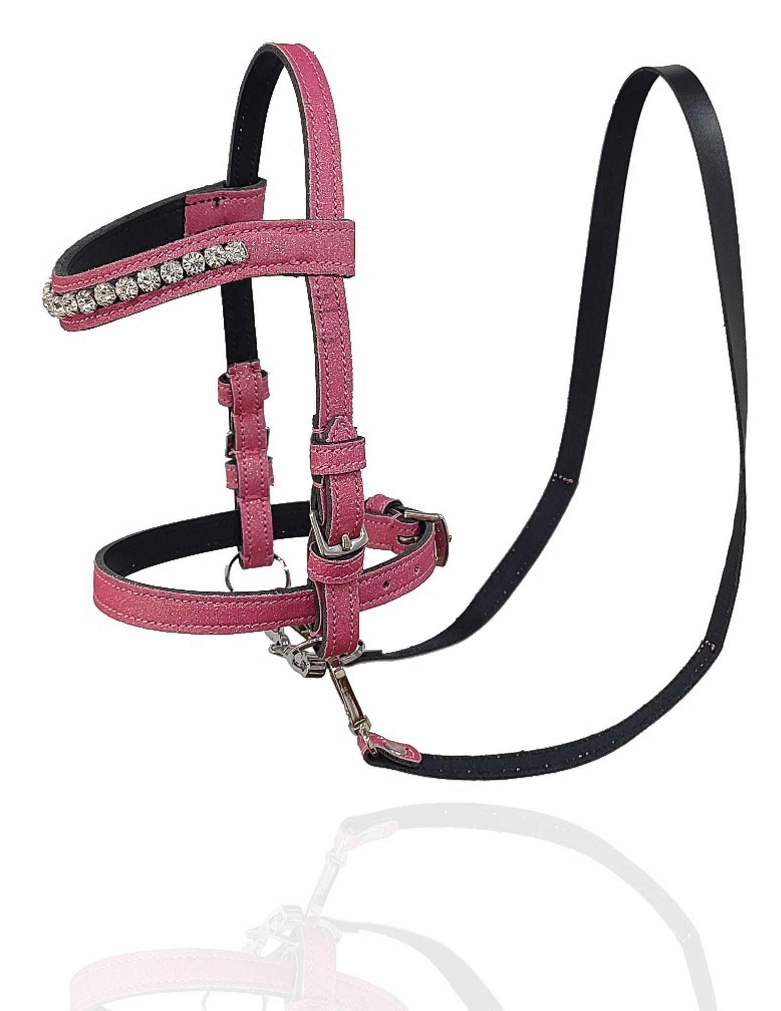 Rose Quartz Crystal Bridle & Rein Set