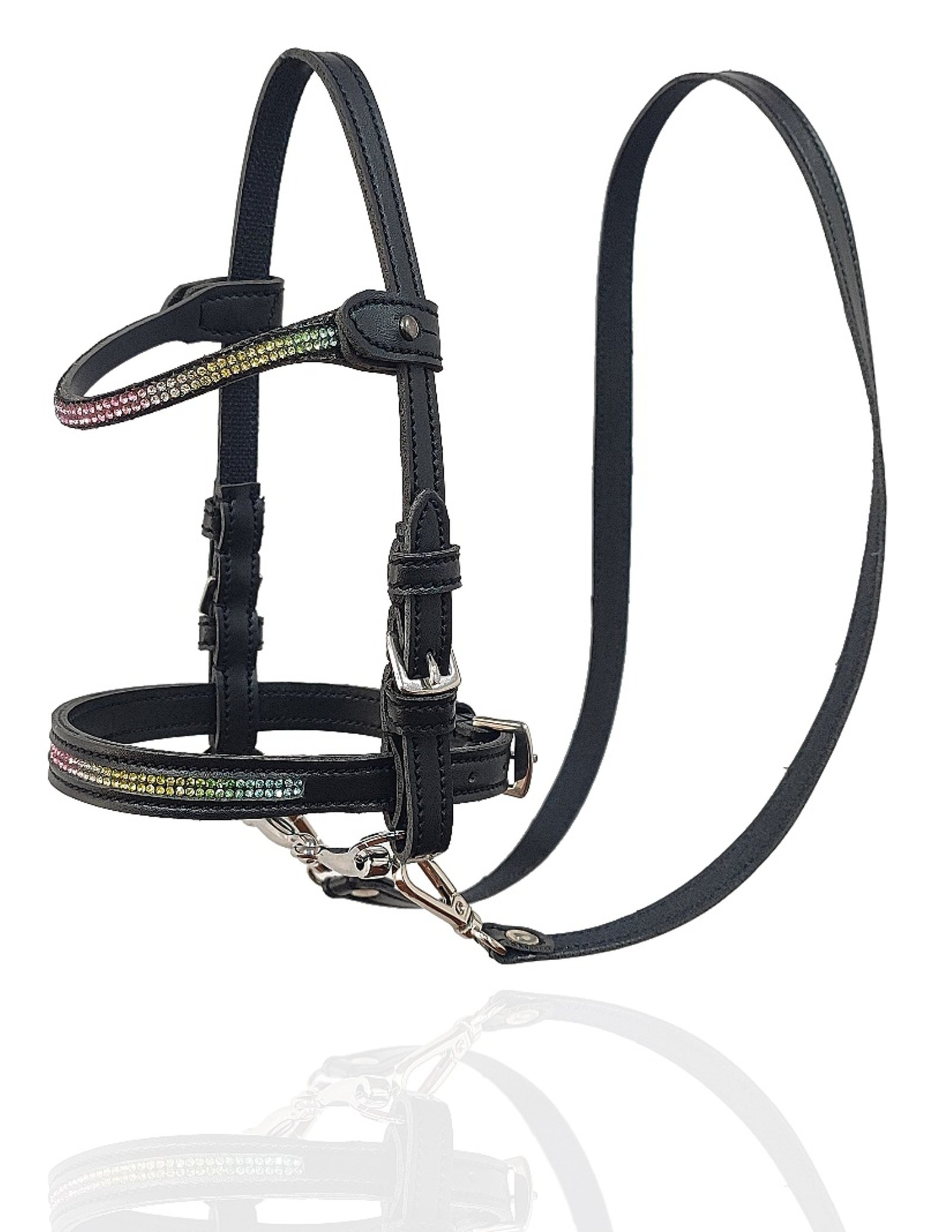 Rainbow Aurora Artisan Bridle & Rein Set