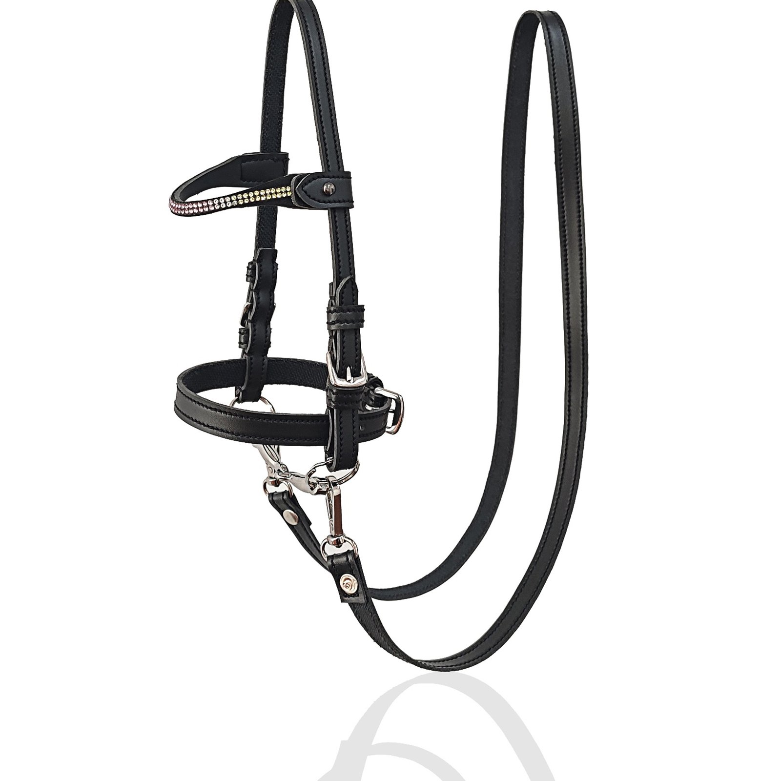 Onyx Elite Rainbow-Glow Bridle & Rein Set