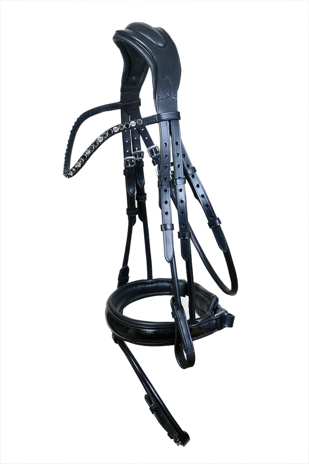 Contemporary black anatomical bridle