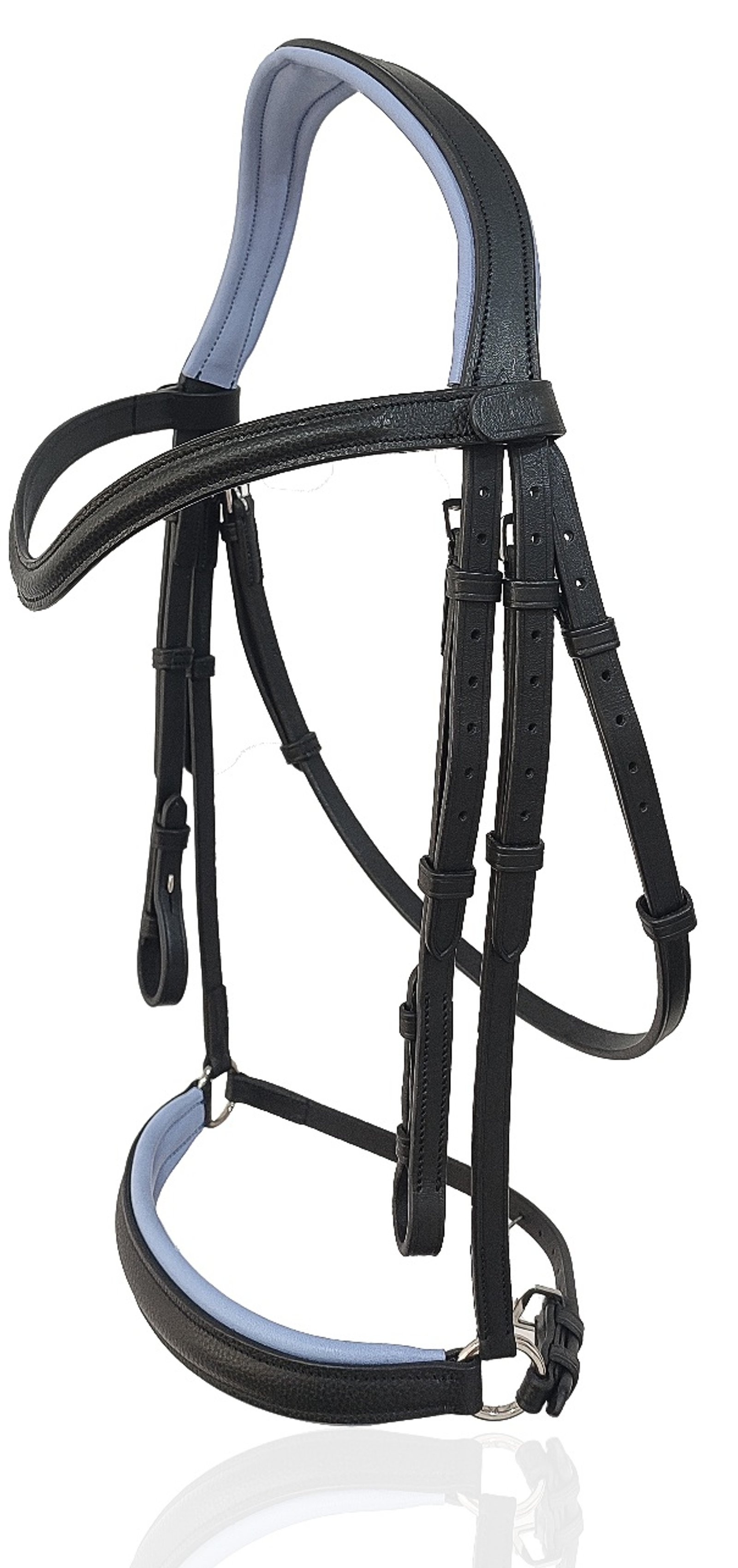 Signature Blue Padding Anatomical Bridle