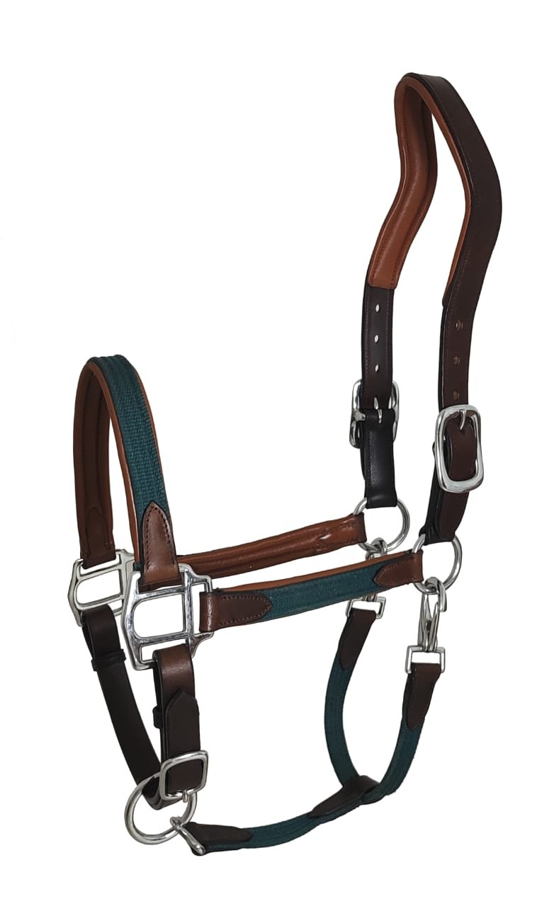 Luxurious Hybrid Leather and Webbing Halter