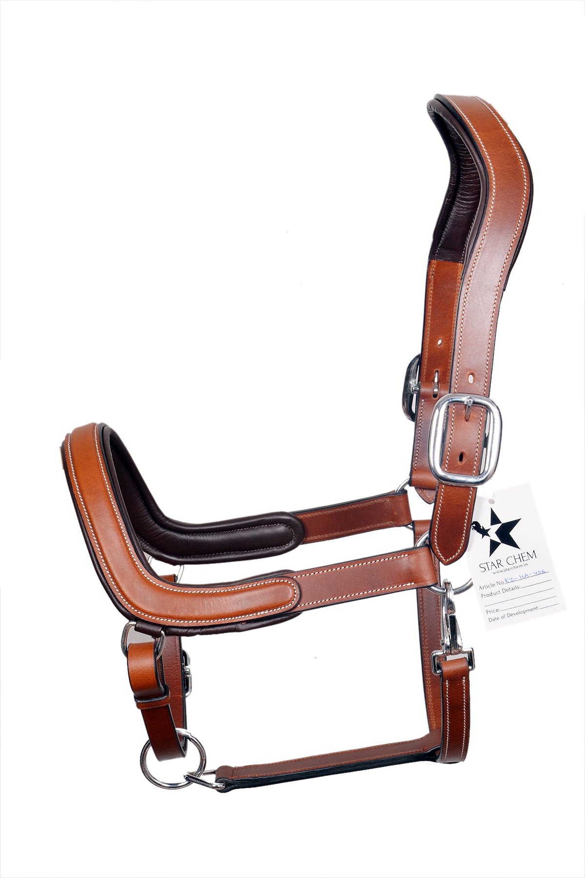 Classic Padded Leather Halter with Brass Hardware