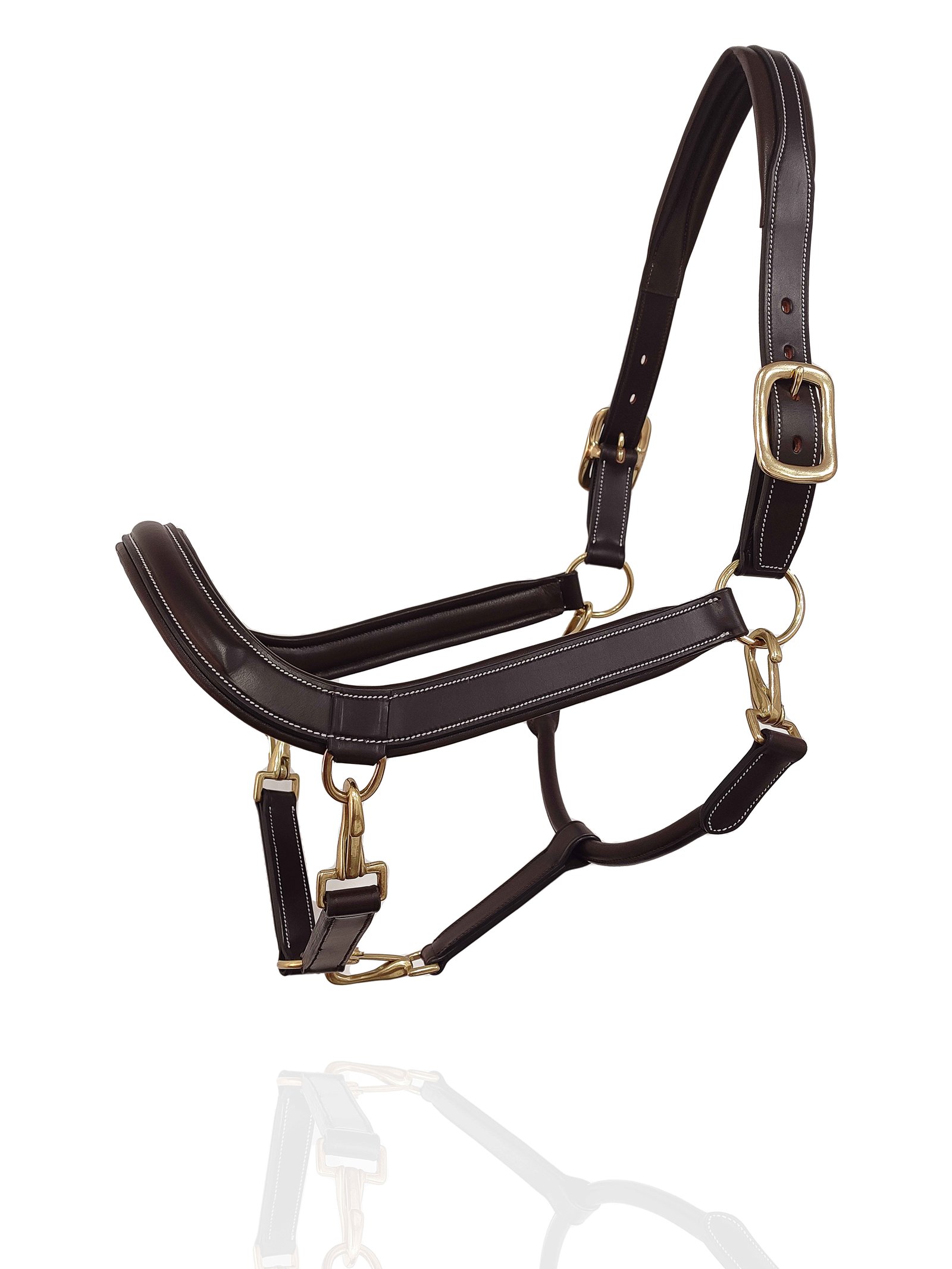 Elite Havana Padded Halter with Dual-Adjustment Crown