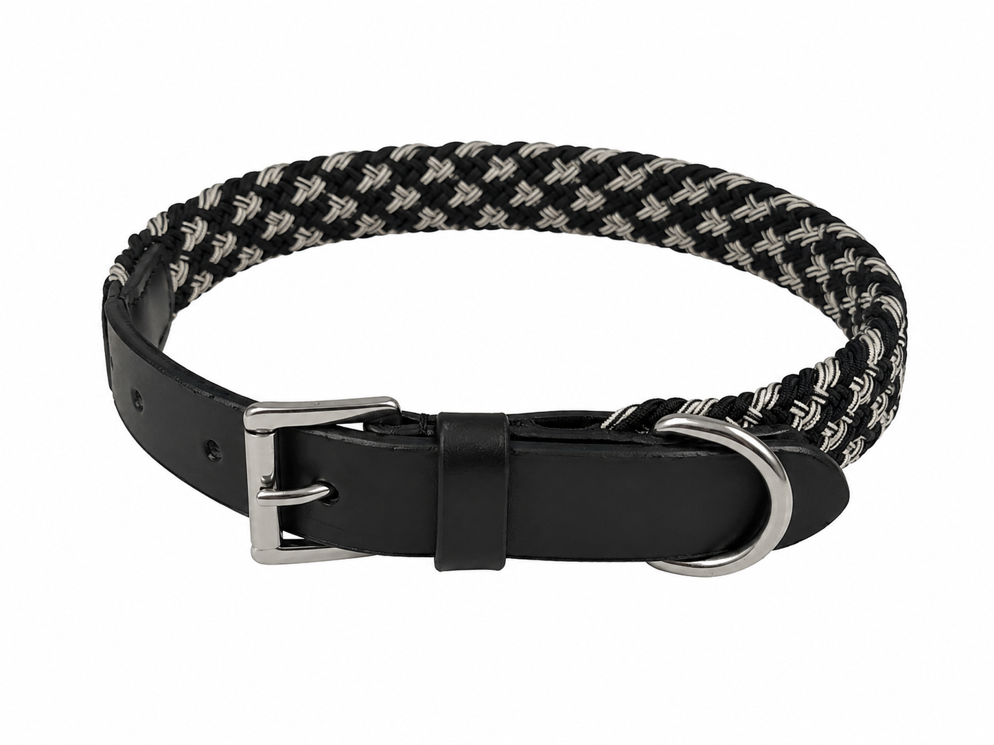 Modern Braided Cord & Premium Black Leather Dog Collar