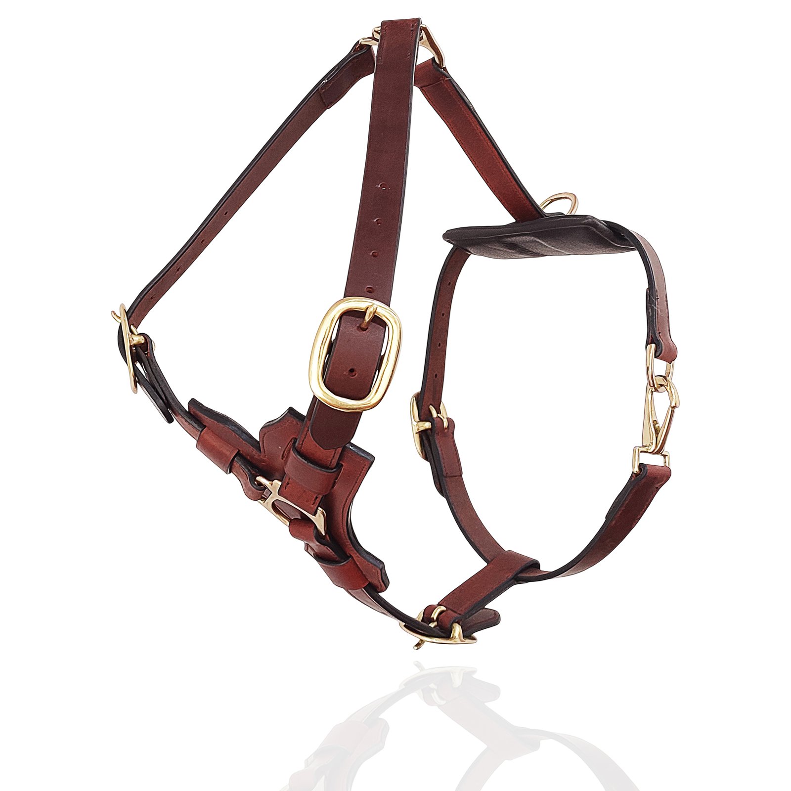 Classic Brown Leather Dog Harness