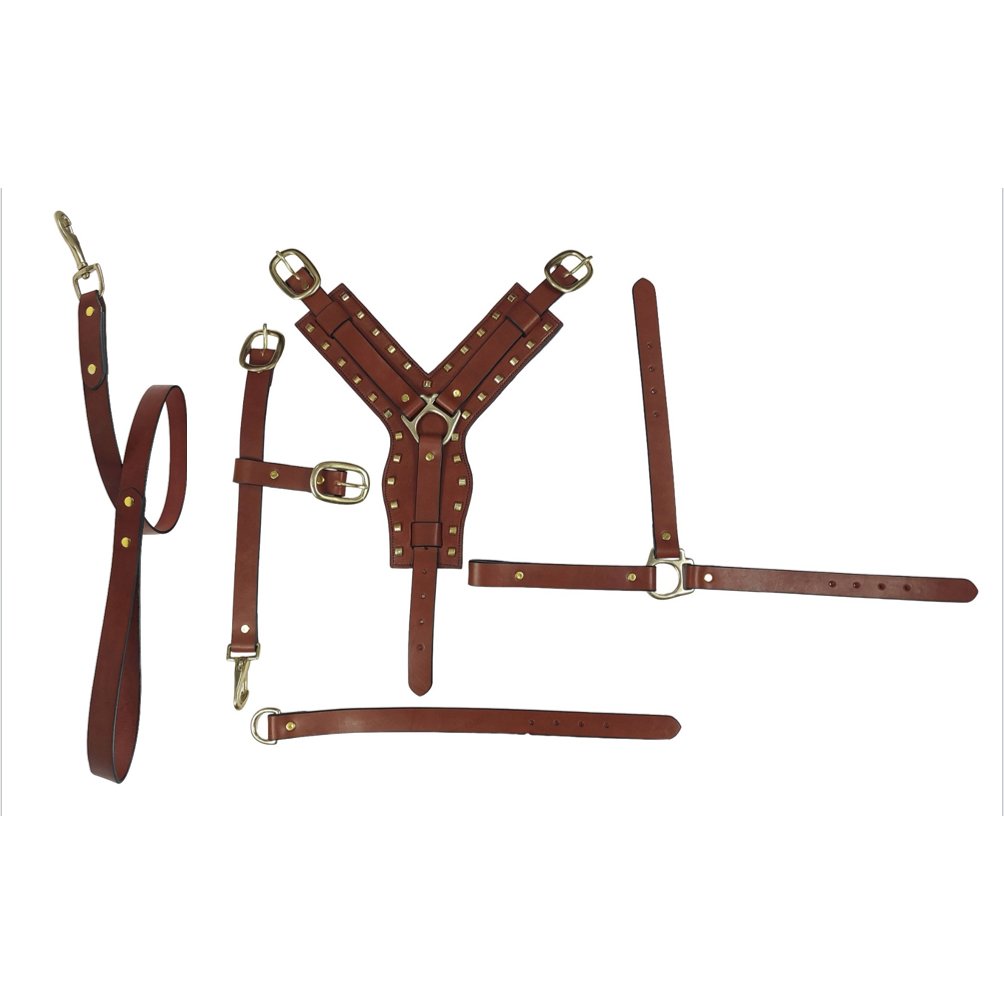 Y-Shape Studded Brown Leather Dog Harness & Leash Set (2-Piece)