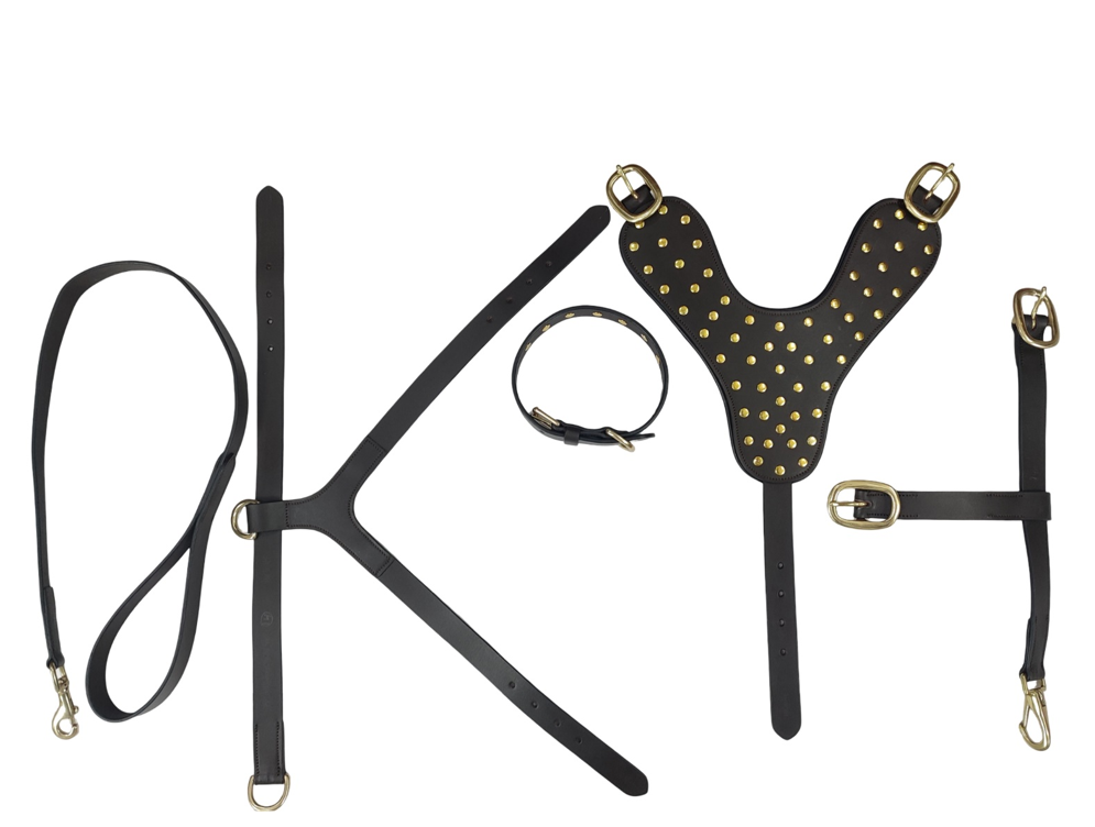 Heavy-Duty Studded Black Leather Dog Harness & Accessories Gift Set (3-Piece)