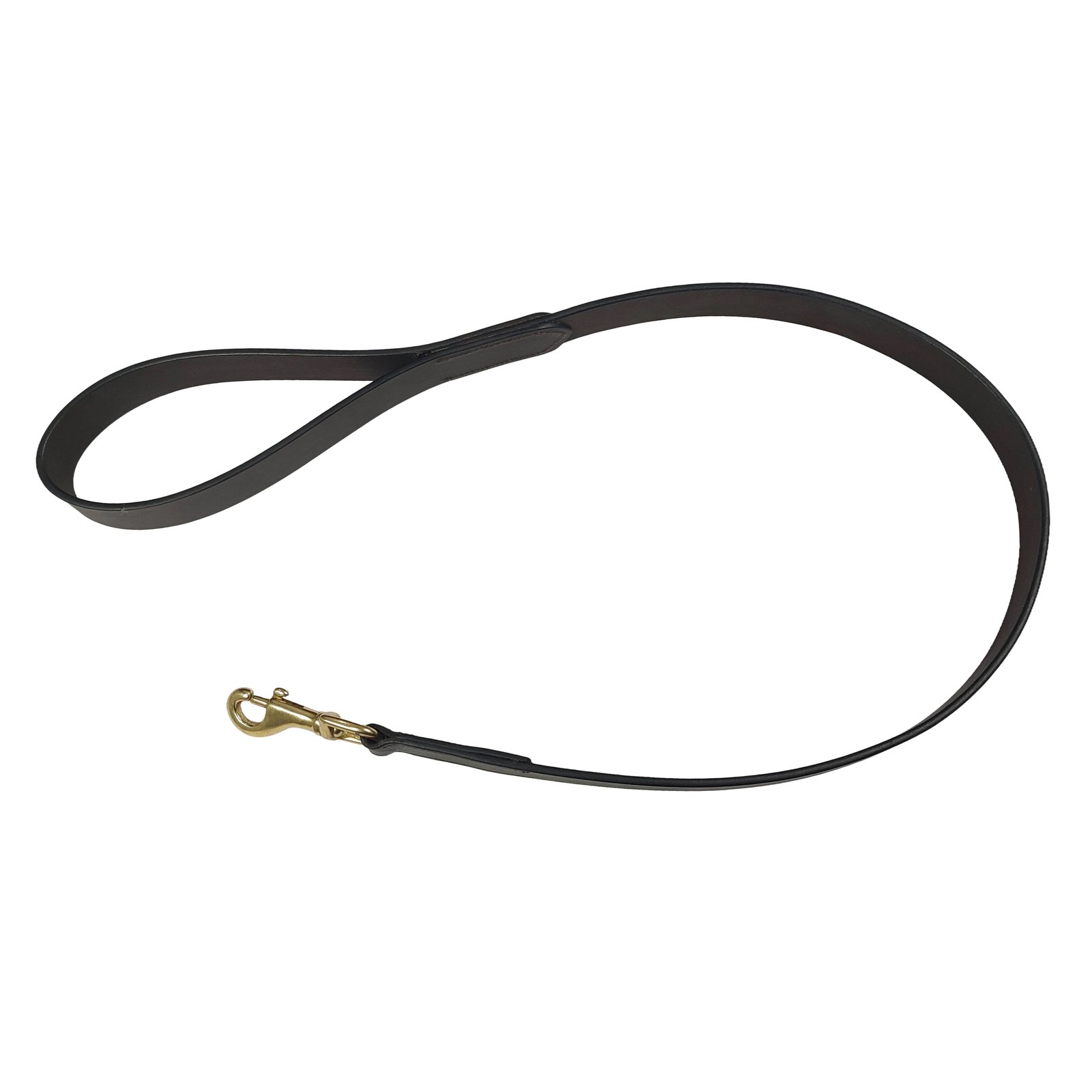 Minimalist Dark Leather Dog Leash with Brass Hardware